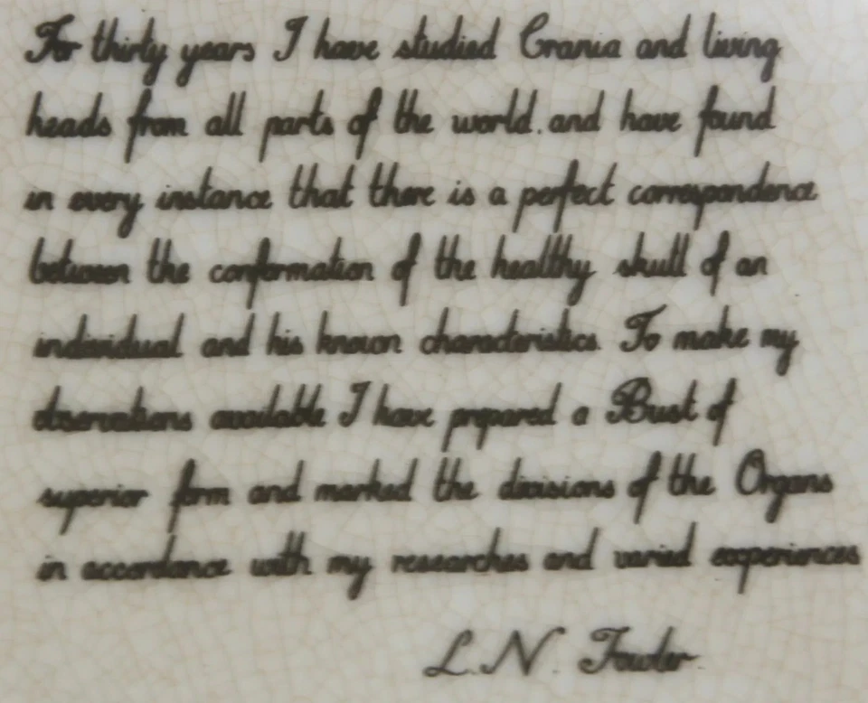 Phrenology Head Bust Scuplpture Ornament Ceramic Home Decor White Small 19cm - Image 3 of 4