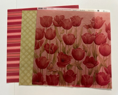 K & Company 12x12 Scrapbook Kit-Variations-Sea Glass, Baby Boy, Poppy Seed, More - Picture 78 of 84