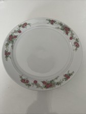 Eschenbach Bavaria   Speiseteller  6 Stück Rosenranken