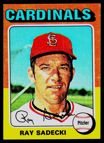 1975 Ray Sadecki #349