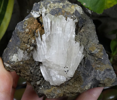 Aragonit & Calcit Kugel Kurebourse 8x6,5cm Frankreich Mineralien Sammlung selten