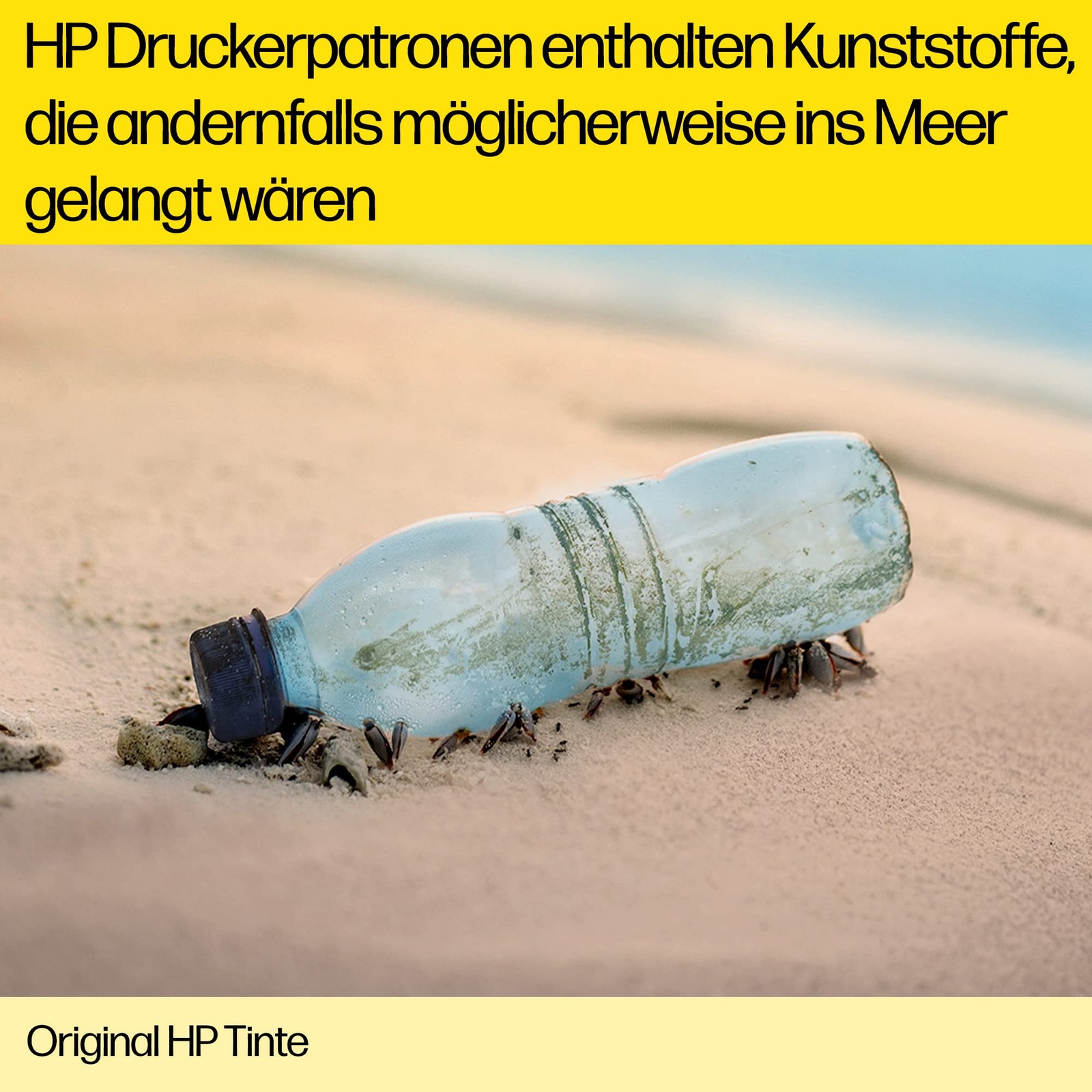 Bild 13 von 24