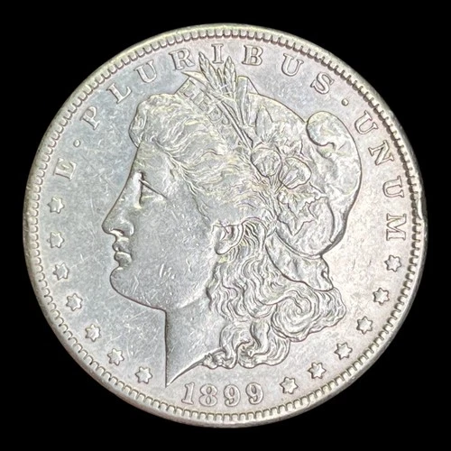 1899-S Morgan Silver Dollar, XF