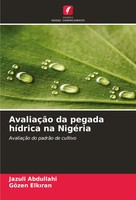 AvaliaçãO Da Pegada HíDrica Na NigéRia AvaliaçãO Do PadrãO De Cultivo Buch 2024