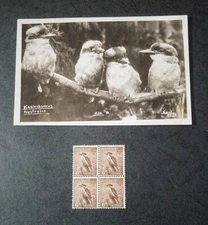 UNIQUE AUSTRALIA STAMP & “ARTIST REFERENCE PICTURE” FOR STAMP DESIGN OF 6D “KOOK