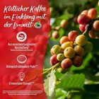 Bild 5 von 8