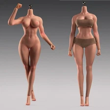 1/6 Female Big Bust Suntan Skin Makeup Seamless Body For 12" Action Figure Doll