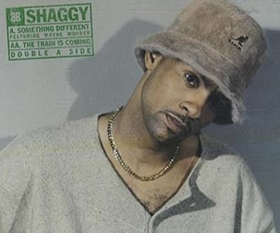Something Different [CD 1], Shaggy, Used; Very Good CD