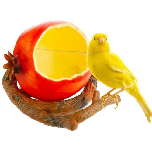 Cute Creative Cage Accessories Birds Feeder Drinking Cup Parrot Feeding Bowl - Photo 1/15