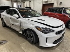 Rear Bumper Assembly 2019 Stinger White 1441772