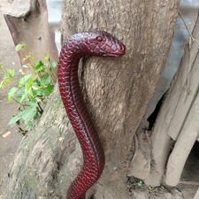 Cobra snake design wood walking stick hand carved for men women walking cane
