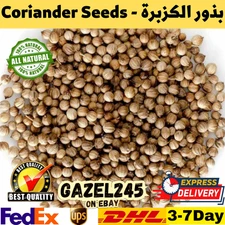 Coriander Seeds Dried Natural Spice Cilantro Seeds GAZL245 بذور الكزبرة القزبرة