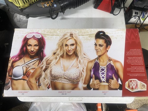 JAKKS WWE Raw Women's World Championship Title Adult Size Belt NIB - Picture 6 of 12