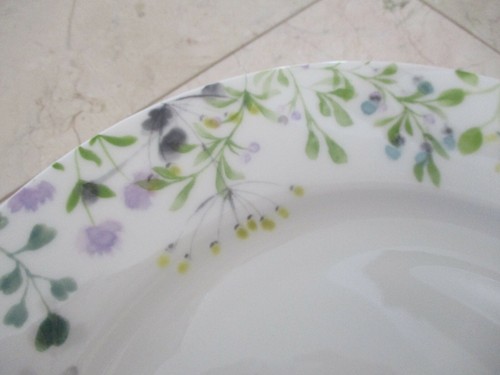 NUEVO JUEGO DE CUATRO PLATOS DE CENA MIKASA ""TIVOLI JARDÍN"" HUESO PORCELANA - Imagen 6 de 12
