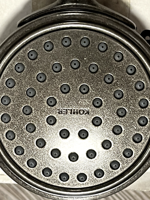 Kohler 72776-G-VNT Artifacts Single Function Hand Shower Vintage
