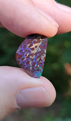 Large Multicolor 7.7ct Koroit Boulder Opal Polished Blue & Green Color Flashes