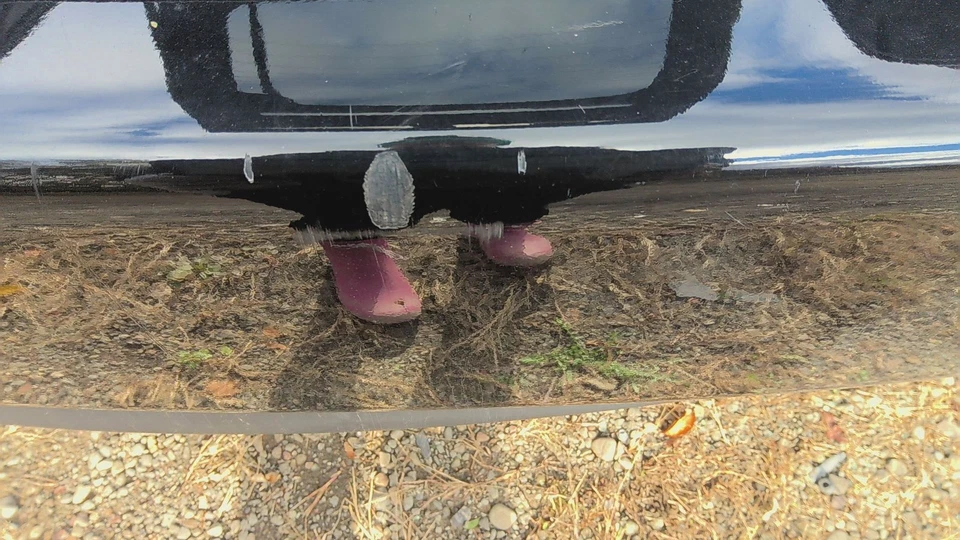 10 HONDA CROSSTOUR Rear Bumper Crystal Black Pearl=Nh731p Gouge (NO SHIPPING) Foto 3 de 4