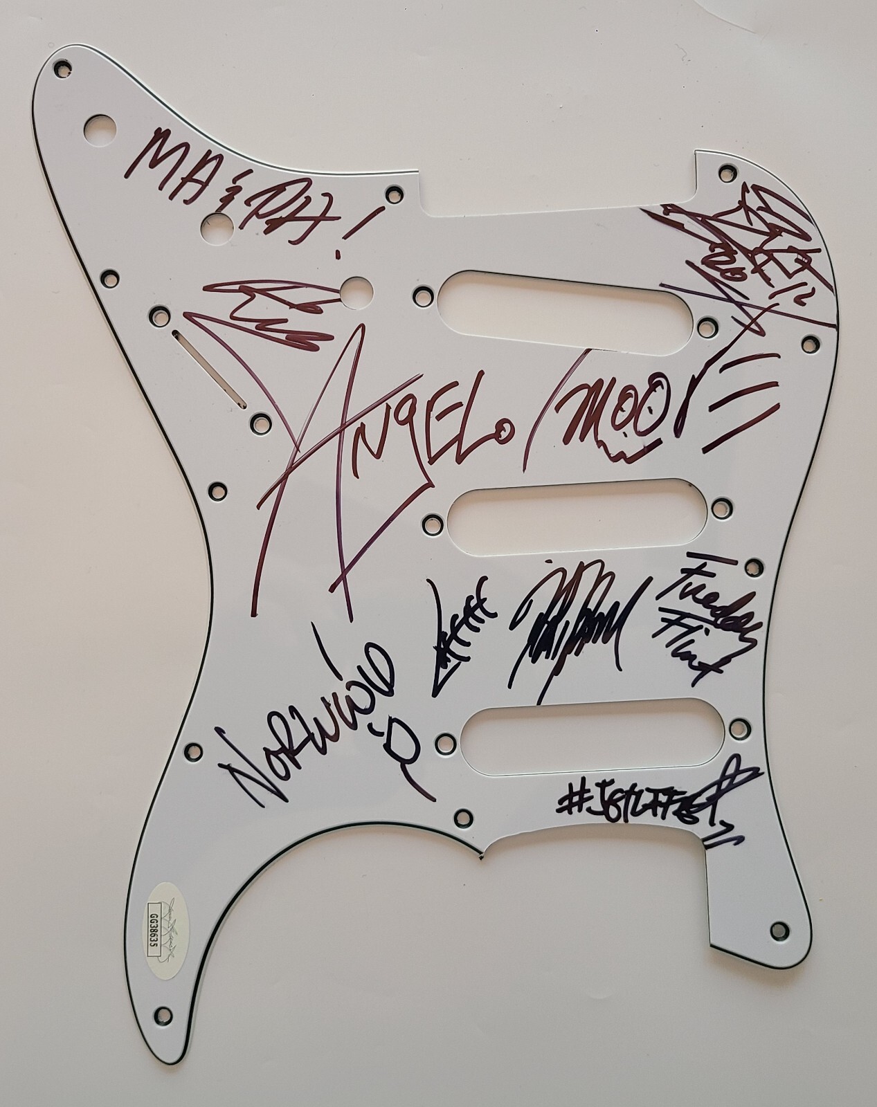 Fishbone Signed Auto Strat Pickguard Band JSA COA