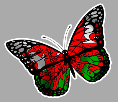 SCHMETTERLING FLAGGE WALES 12cm AUFKLEBER STICKER PAP011