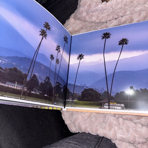 2023 PREVAGEN BREEDERS CUP SANTA ANITA PARK 40th World Championship Photography - Bild 9 von 9