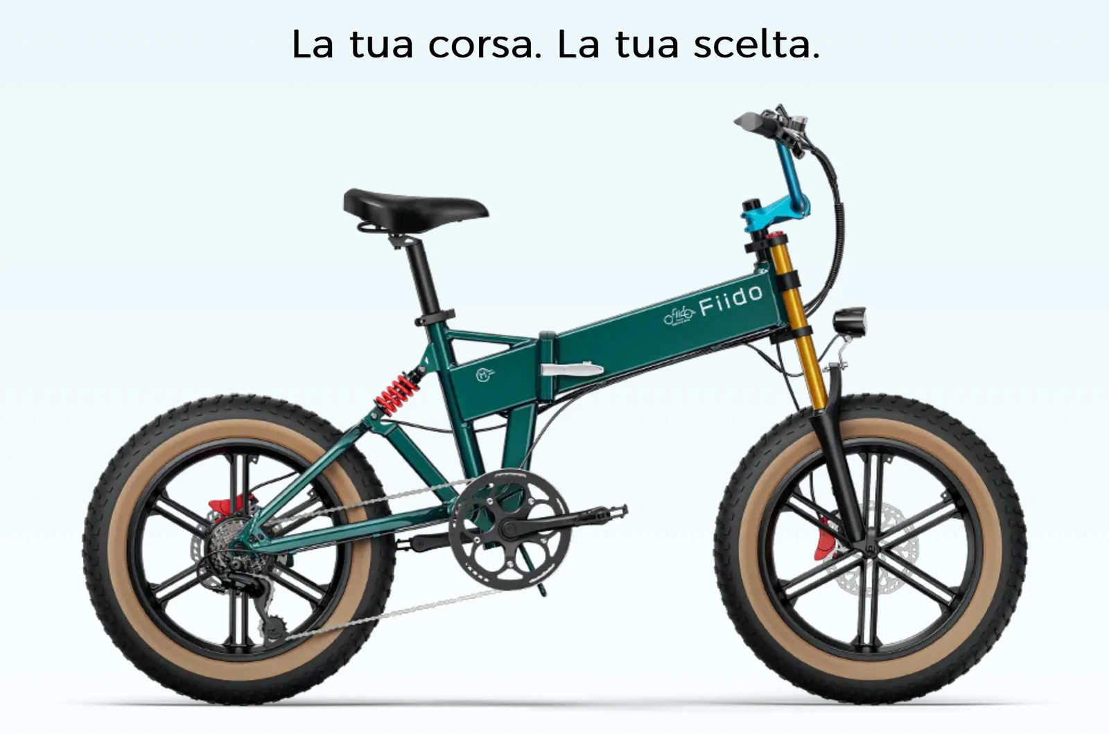 Fiido M1 Pro Folding Fat Bike 250W 48V