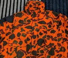 Picture 2 of 10
