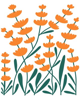 7678 Cosmos Eden Active Poster Orange Floral Blooming Flowers
