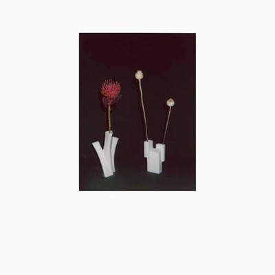 ATKINSON - FLOWER  THE VESSEL - CD - E3447z