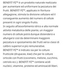 Foto 2 di 2