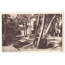 MUDEFORD Anchorage, Pine Walk, Hampshir Postcard by Photocrom, Unused