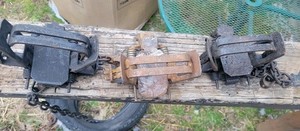 3 Duke #2 Dogless Os 2-4 Coiled 1-2 Coiled Trap READ