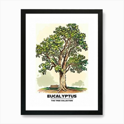 Eukalyptusbaum Bilderbuch Illustrat gerahmtes Wandbild Poster Leinwanddruck Bild