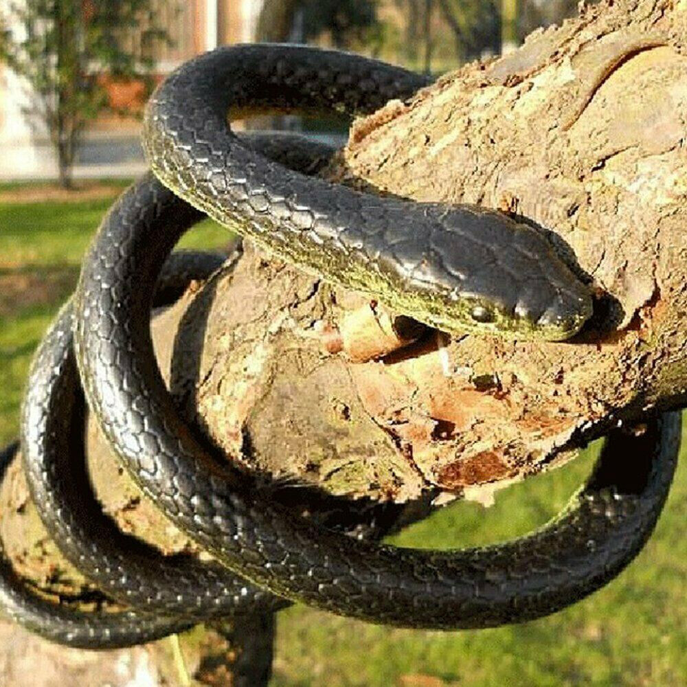 45CM RÉALISTE FAUX Simulation Caoutchouc Serpent Blague Tour Jouet Fête Hélices EUR 4,00