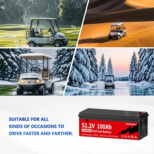 48V(51.2V) 100Ah LiFePO4 Battery 200A BMS for Golf Cart Marine Solar Off-Grid - Picture 9 of 9