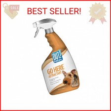 OUT PetCare Go Here Attractant Dog and Puppy Potty Training Spray, Safe  Effec