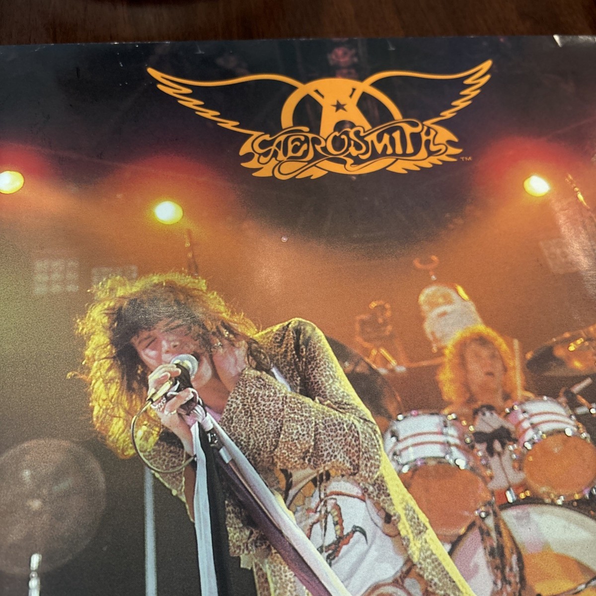 Original 1979 AEROSMITH Concert Poster TYLER JOE PERRY WHITFORD
