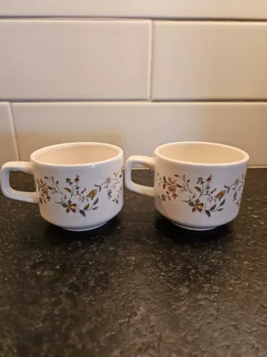 VTG Set Of 2 Lenox TemperWare Merriment Floral Print Coffee/Tea Mugs