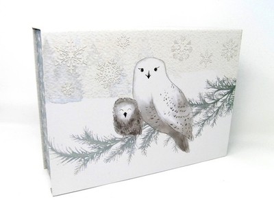 Punch Studio Flip Top Nesting Box Winter Owl Glitter Christmas 36832 Small