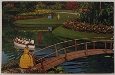 M142A2 Chrome 5.5 x 3.5 Florida's Cypress Gardens