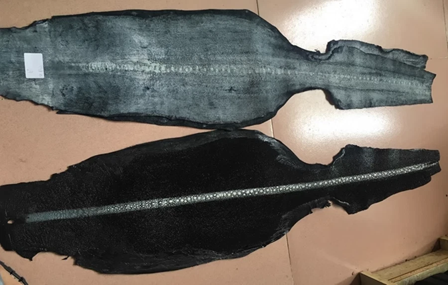 1Шт неполированный скат шагреневая кожа рыбы скрыть кожи DIY шкура различных цветов - Изображение 2 из 4