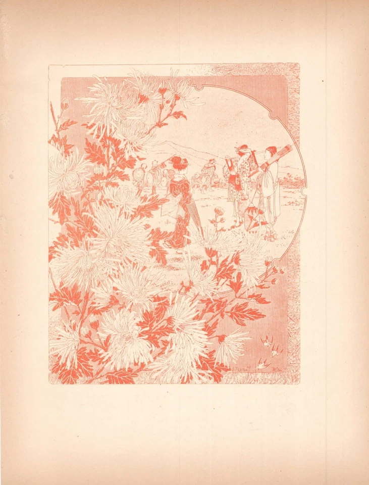 Stampe antiche LOTTO 4 FIORI IN SANGUIGNA Gustave Fraipont 1896 Antique prints - Immagine 3 di 4