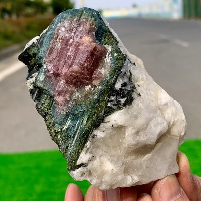 366GRare!Natural Two tone watermelon tourmaline crystal cluster mineral specimen