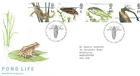 GB Comm/FDC - Pond Life - Edinburgh -  2001 (RM898)