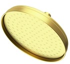 Newport Brass 2092/04  12" Rainfall Showerhead, Satin Brass