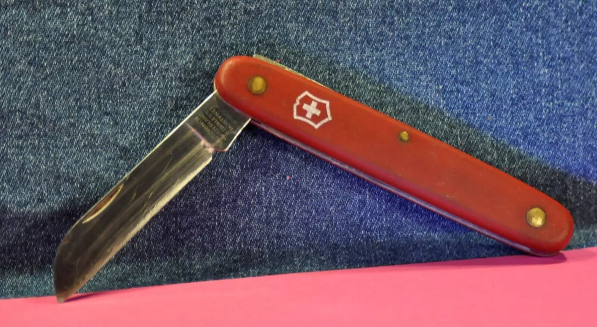VICTORINOX