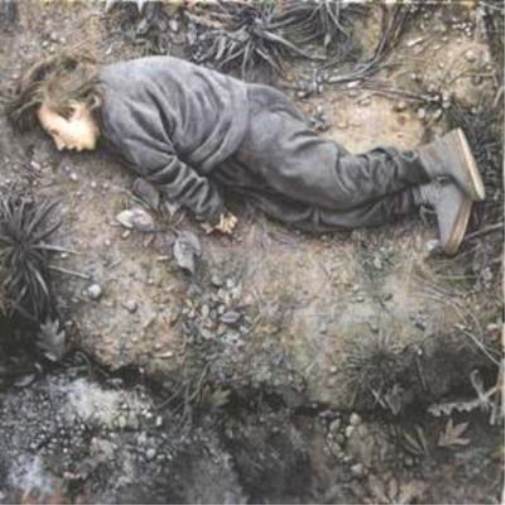 Anathallo Canopy Glow (CD) Album