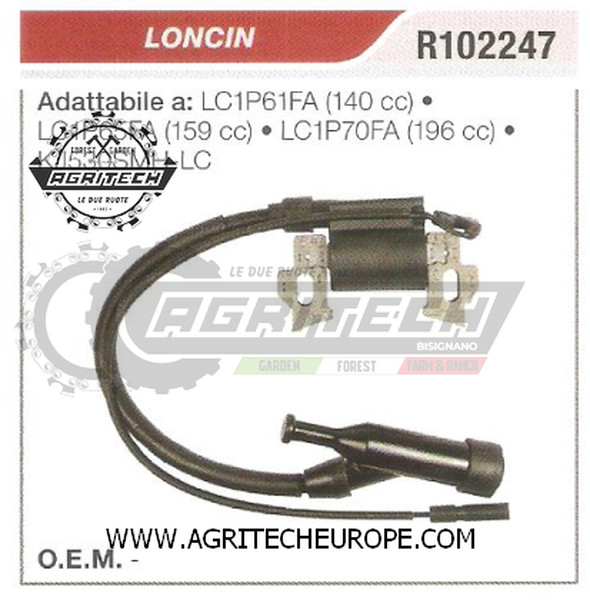 R102247 Bobina Elettronica Loncin KJ530SMH-LC | Centralina Accensione Originale