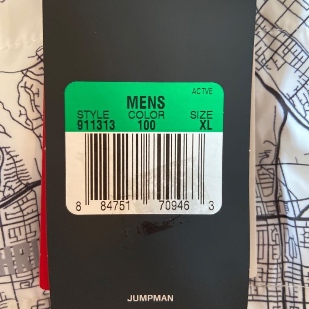 jordan city of flight jacket white