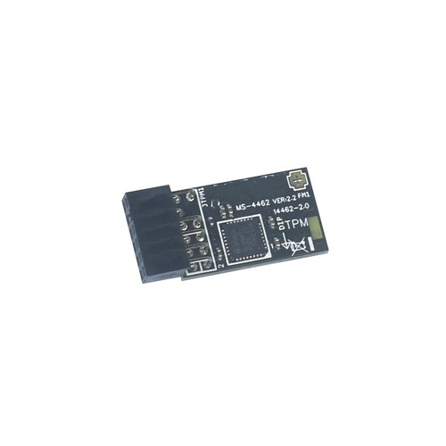 TPM2.0 Motherboards Module TPM SPI 12Pin Module with SLB 9672 for Windows 10 11 - Afbeelding 2 van 5