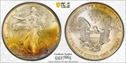 1996 American Silver Eagle Rainbow Toned - PCGS MS67 Rainbow Toned - A382